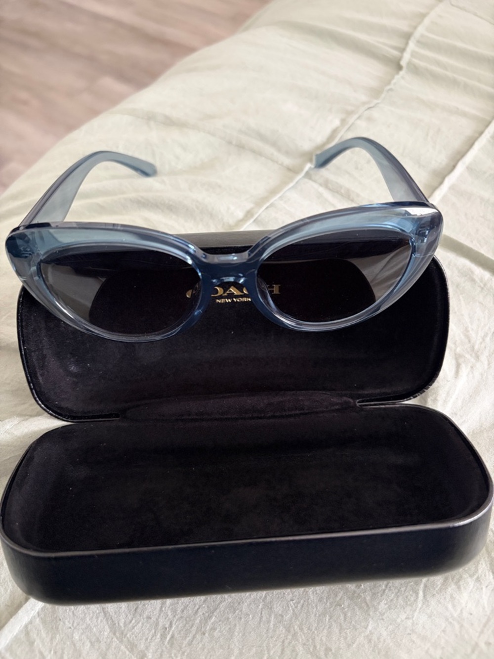 Coach Transparent Blue Cat-Eye Sunglasses